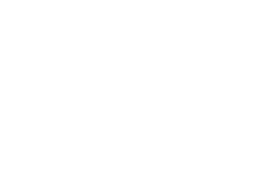 logo boreales